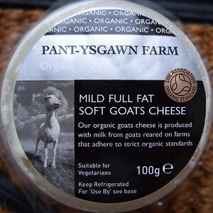 300px-Pantysgawn_cheese.jpg