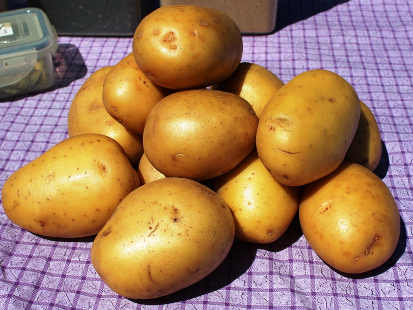 More information about Nectar Potatoes.
 #nectarpotatoes