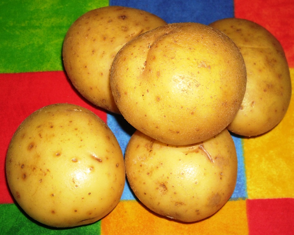 More information about Estima Potatoes.
 #estimapotatoes