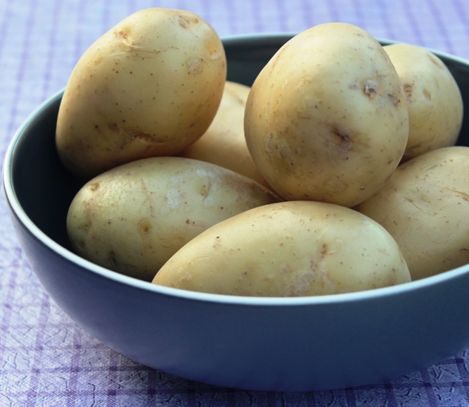 More information about Jersey Gem Potatoes.
 #jerseygempotatoes