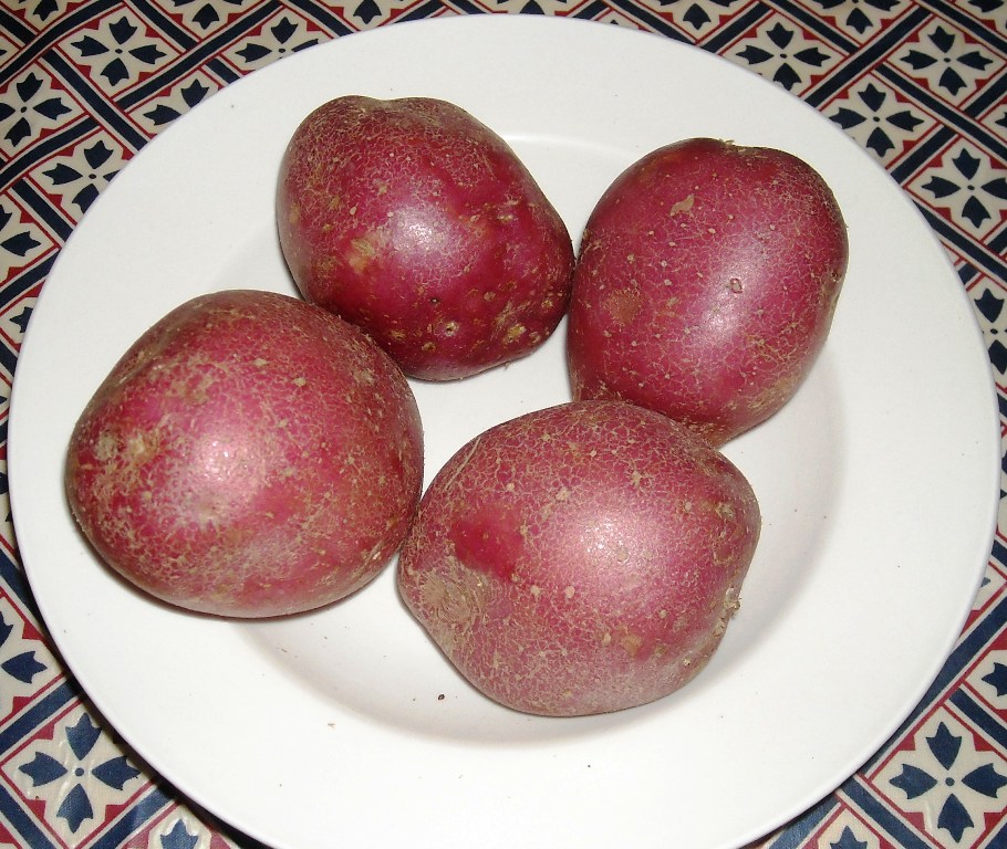 More information about Amorosa Potatoes.

