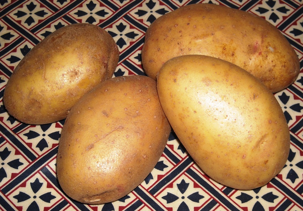 More information about Lady Balfour Potatoes.
 #ladybalfourpotatoes