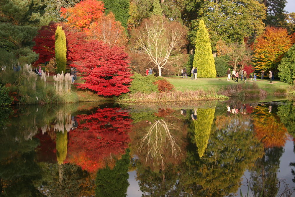Capability Brown's Sheffield Park lake in Autumn
 #capabilitybrown #sheffieldpark #autumn