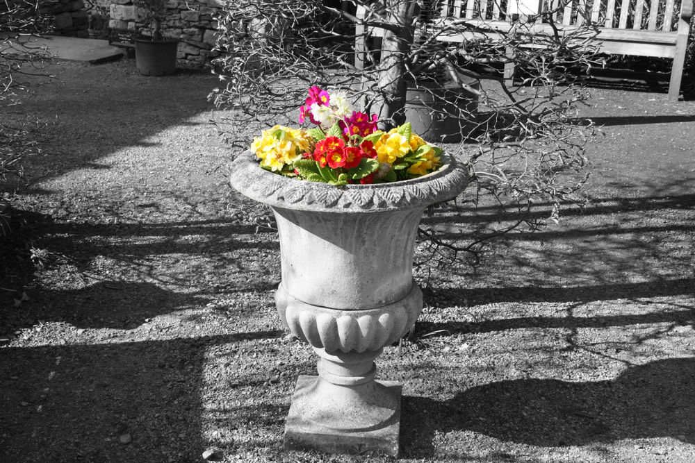 Selective colour monochrome poster of Greek urn with colourful flowers
 #selectivecolor #posterpicture #monochromecolours #monocolor
