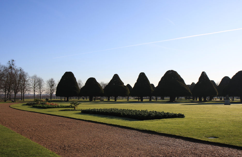 Ham House gardens, pointy trees
 #notnilsson #thepoint #hamhousetrees