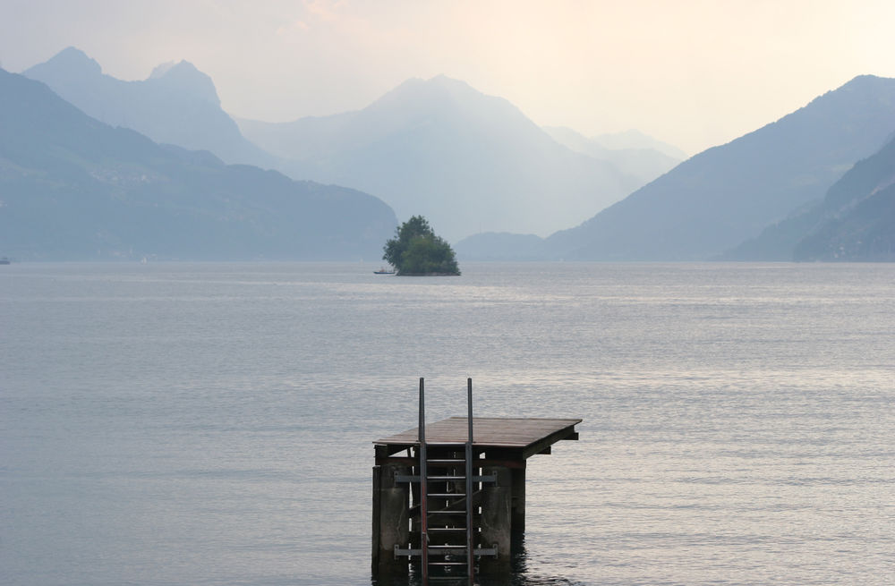 Diving platform in a moody Swiss Lake
 #lakeview #mistymorning #lakeplatform