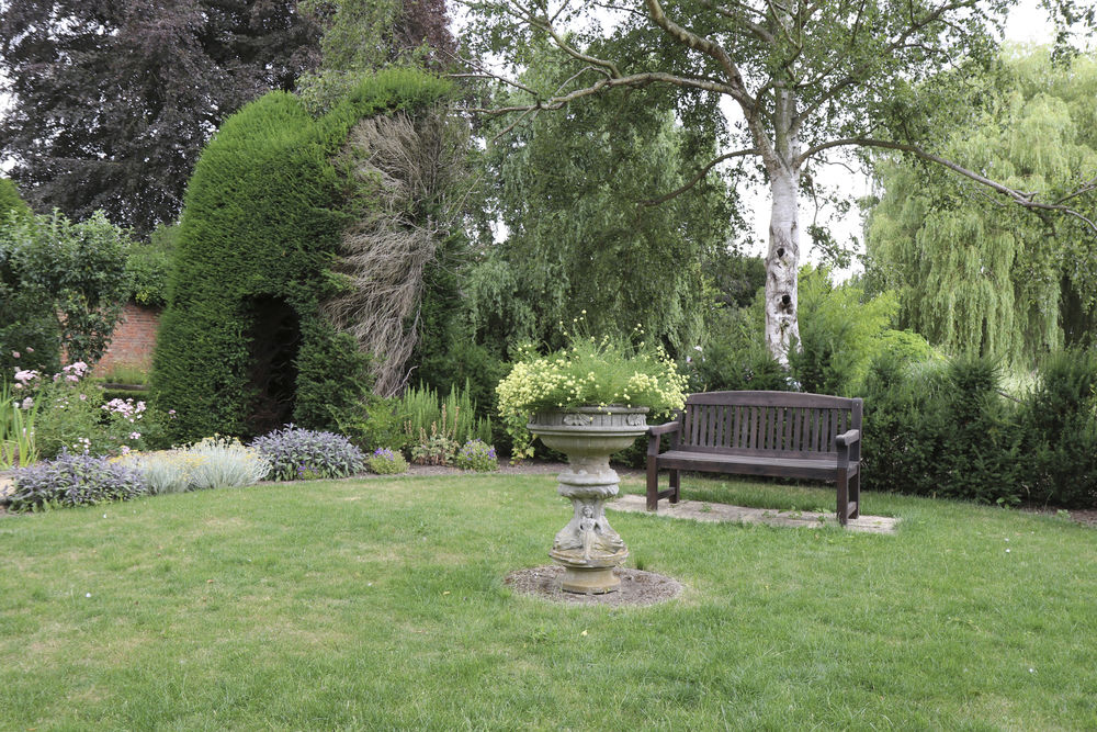 Tell me what this flower is called please
 #unknownflower