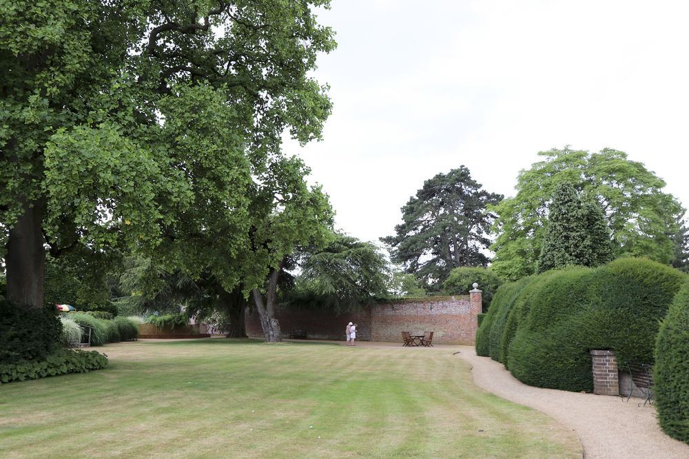 Elgoods stunning tulip tree in the well-trimmed lawn and hedging.
 #tuliptree #elgoodsgardens