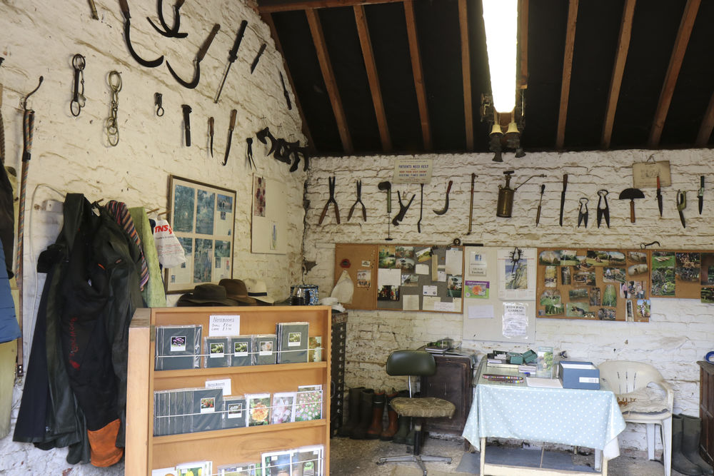 Someone thought we would clean and sharpen all these.  Never happened!
 #putthemonthewall #oldtools #gardenersoffice #oldgardeners #stowhallgardens #norfolkgardens
