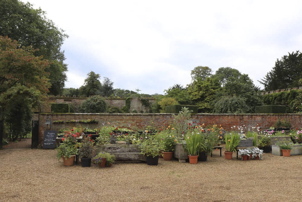 All proceeds to The Holy Trinity Church, Stow Bardolph
 #holytrinitychurch #stowhallgardens #plantsforsale