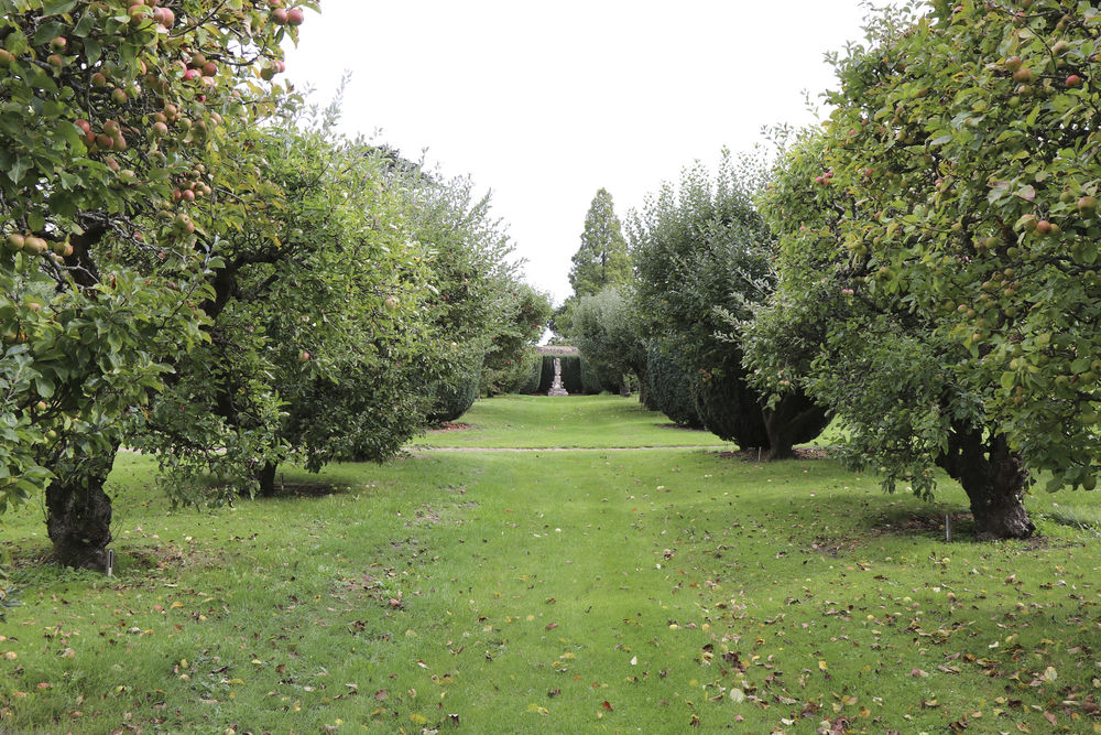 The apples are out at Stow Hall Gardens
 #stowapples #oldorchard #appletrees #woodywalk #apples