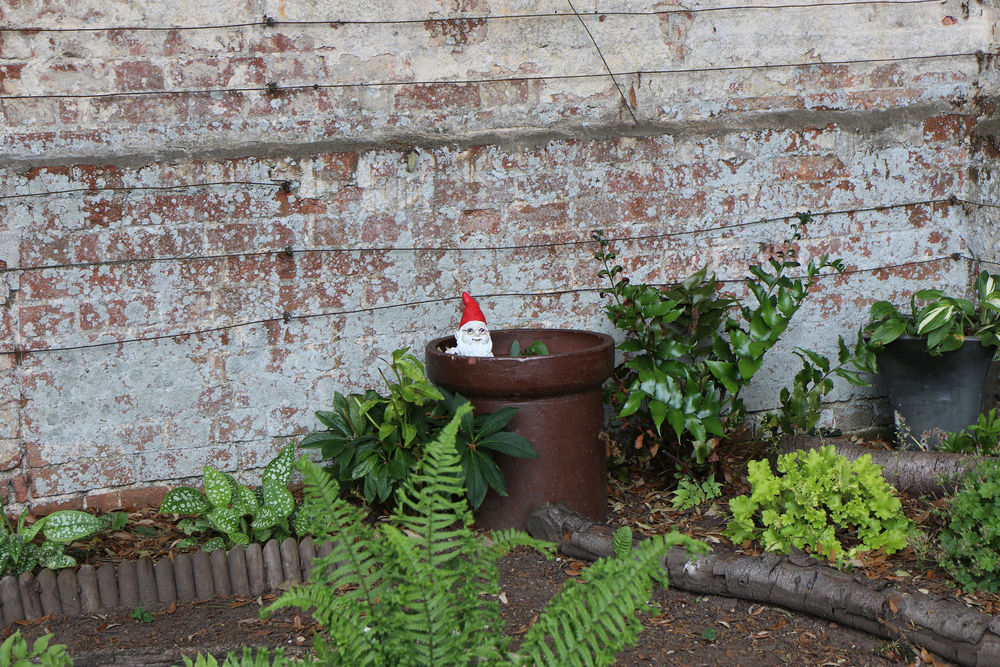 Garden gnome peeping out of a chimney pot in the allotments at Stow Hall Gardens
 #gardengnome #redhat #redhatgnome #peekaboo #gnomechimney