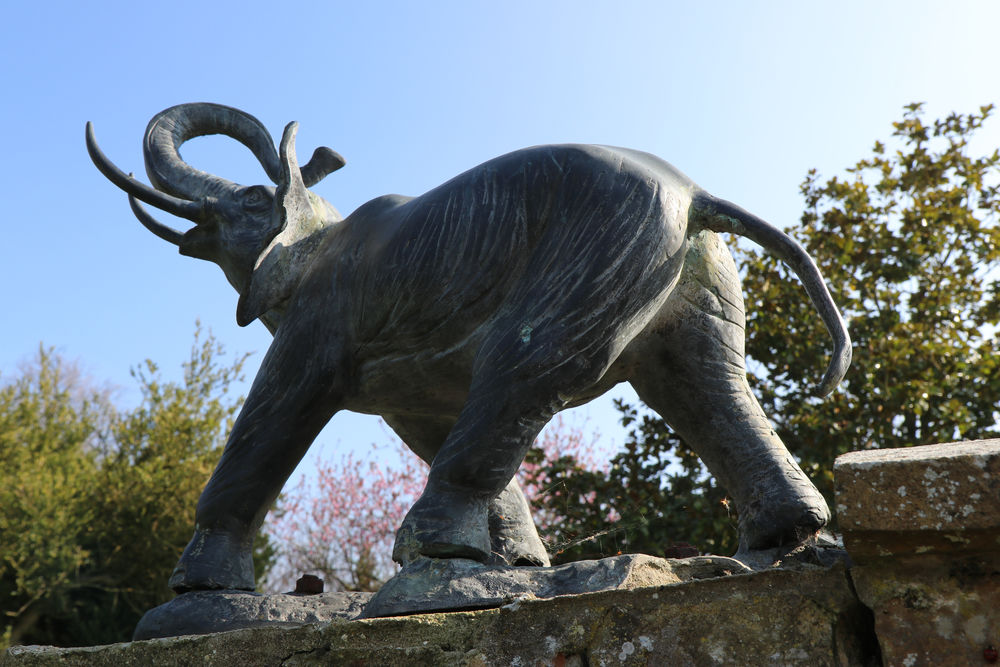 Bronze statue of a charging musth bull elephant sculpture.
 #bronzebull #elephantmusth #charge