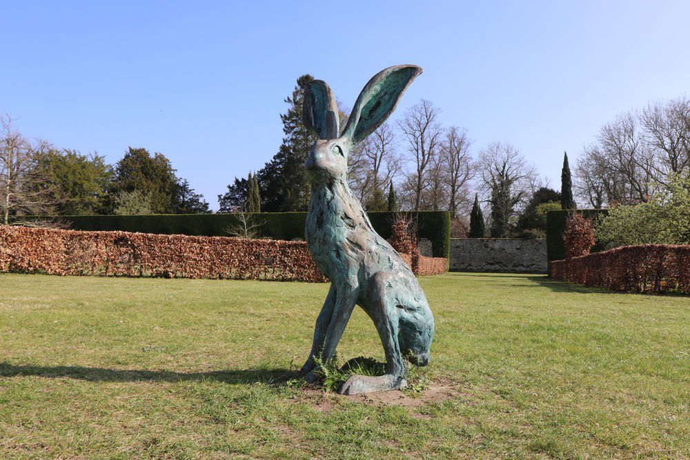 The larger than life bronze hare sculpture in the gardens at Chippenham Park, Newmarket
 #alerthare #standinghare #bronzehare #chippenhamhare