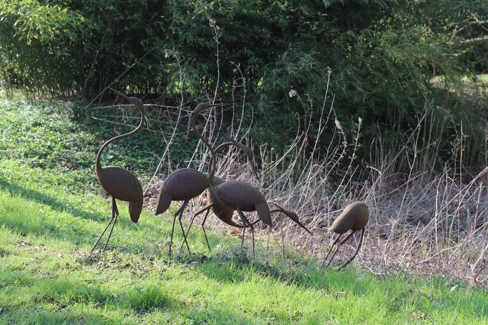 Five iron storks; fine artwork from a Chippenham Park Gardens Open Day
 #ironstork #sculpture #storks #pecking