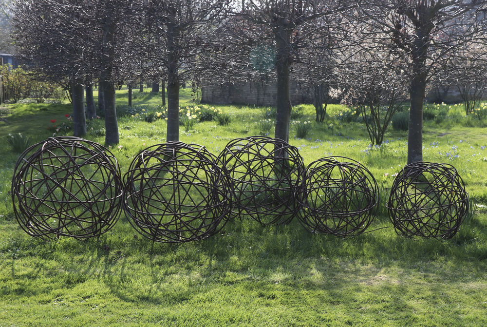 Wire or willow balls sculptures on the lawn at Chippenham Park Gardens
 #wireballs #willowballs #ballsntrees #artballs