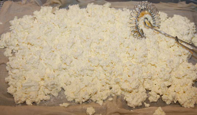 Home-made Caerphilly cheese salting.jpg.