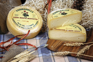 Formaggella della Val Trompia cheese.jpg. Formaggella della Val Trompia cheese.jpg.