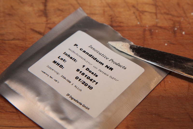 Knife-tip-Candidum.jpg. Knife-tip-Candidum.jpg.