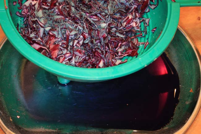 Spicy pickled red cabbage salting.jpg.
