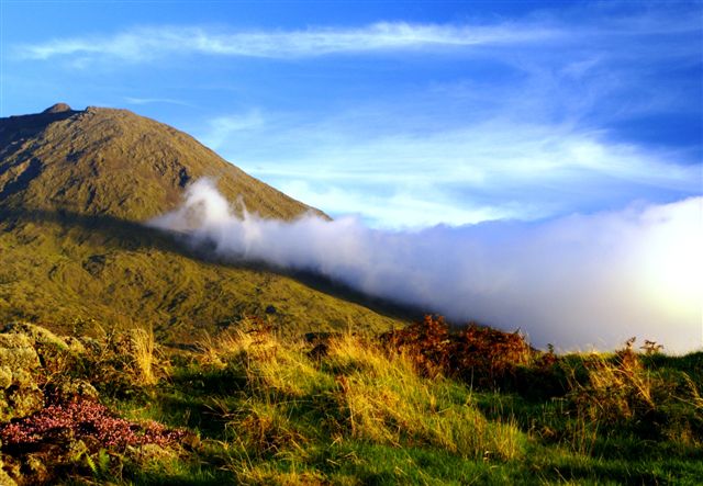 Ilha do Pico, Azores.jpg.