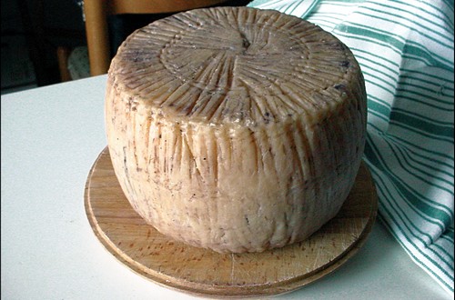 Pecorino Carmasciano cheese.jpg.