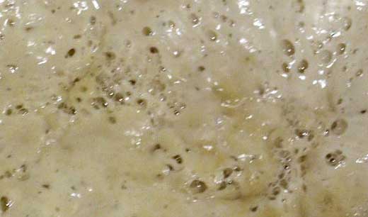 Sourdough-ferment.jpg. Sourdough-ferment.jpg.