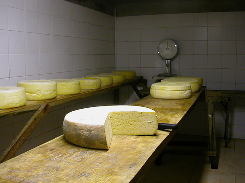 Valle Argentiera cheese.jpg.