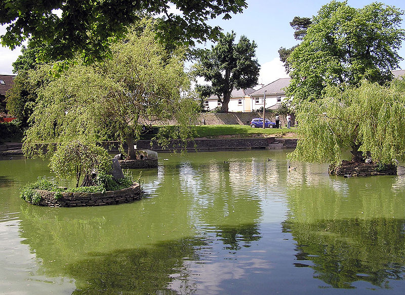 Pond at Winterbourne.jpg.