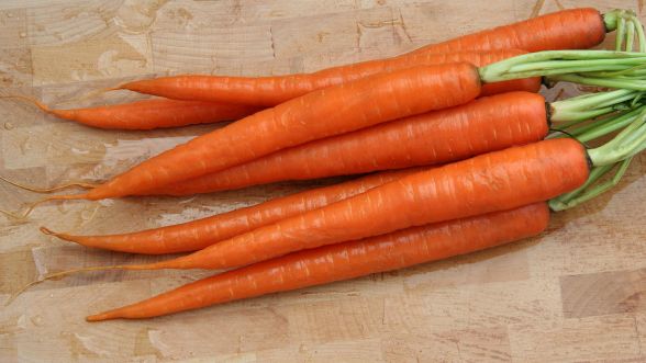 Carota dell&#39;Altopiano del Fucino (Fucino carrot).jpg.
