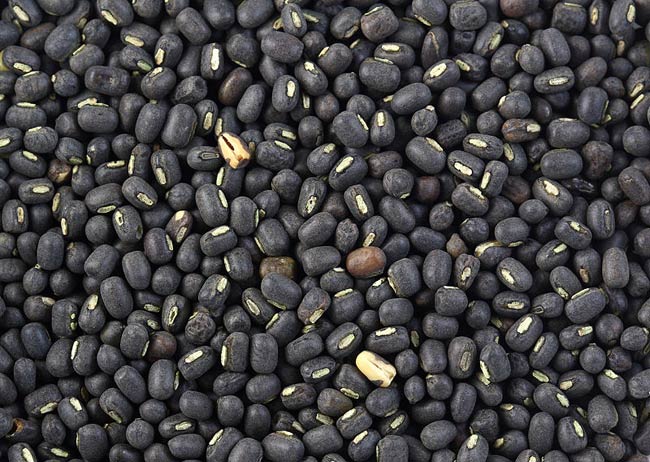 Black urad beans.jpg.