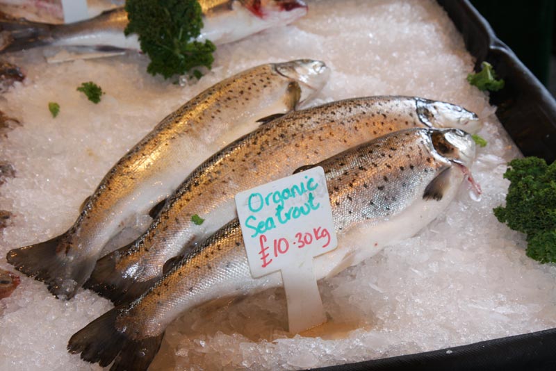 Sea trout at Borough Market.jpg.