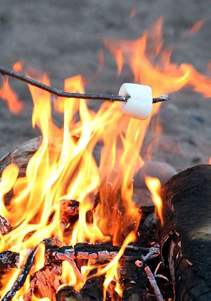 Toasting a marshmallow.jpg.