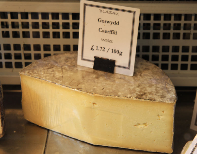 Gorwydd Caerffili.jpg. Gorwydd Caerffili.jpg.