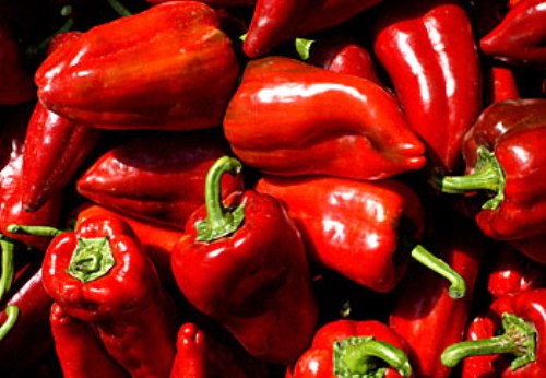 Pimiento Riojano.jpg.
