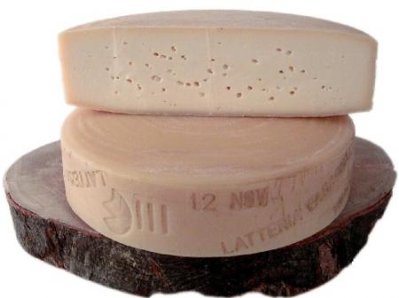 Latteria di Fagagna cheese.jpg. Latteria di Fagagna cheese.jpg.