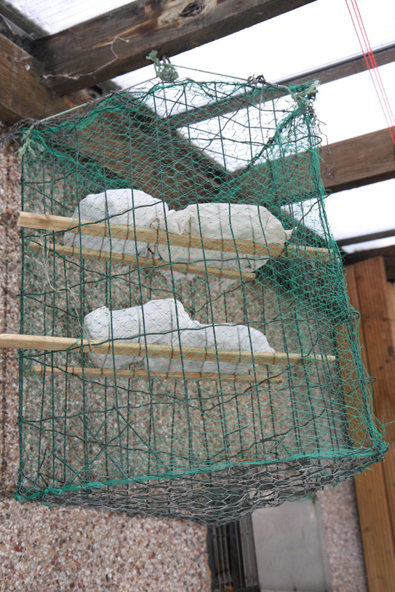 Air-drying.jpg. Air-drying.jpg.