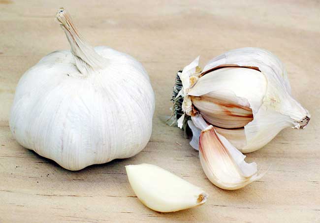 Garlic.jpg.