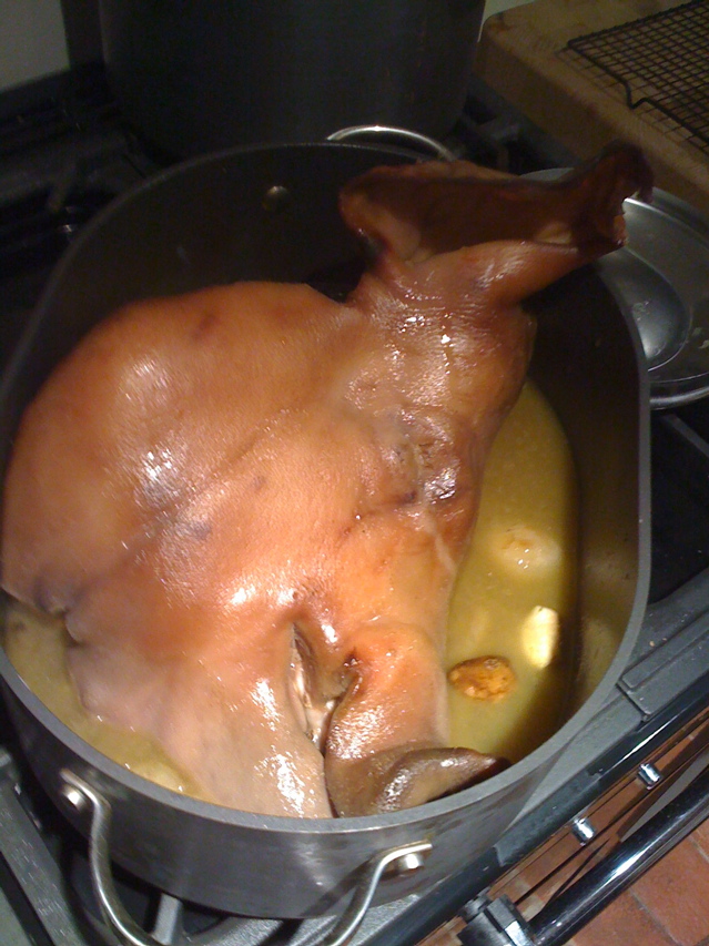 Like an alligator.jpg.