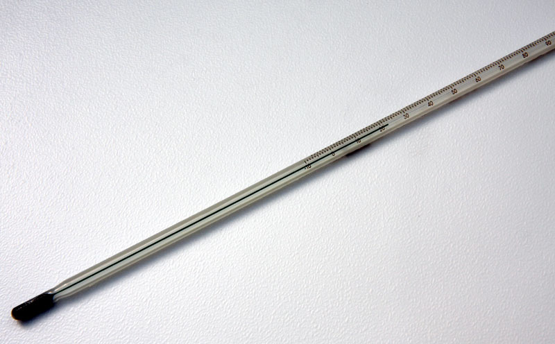 Cheese making thermometer.jpg.