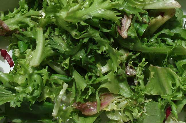 Crunchy salad