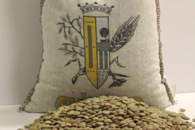 Lenteja de La Armuna.jpg.