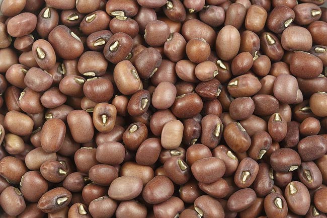 Red mung beans.jpg.
