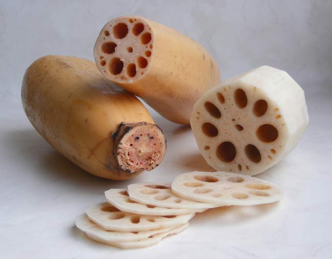 Lotus root.jpg. Lotus root.jpg.