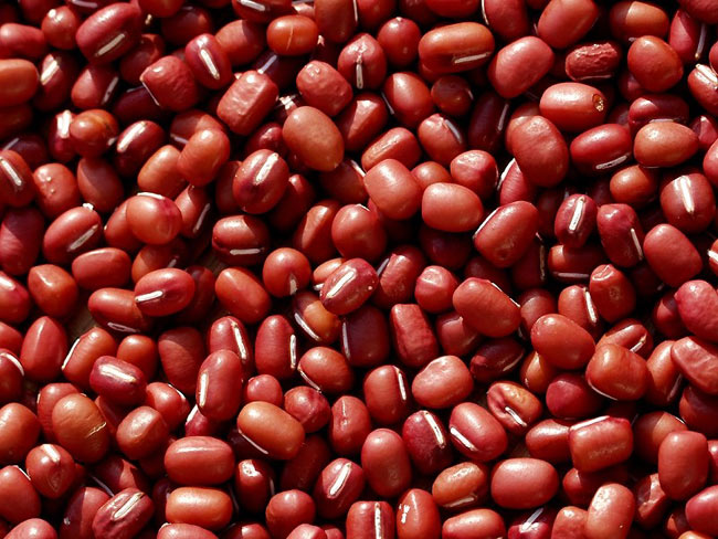 Azuki beans.jpg. Azuki beans.jpg.