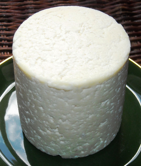 Home made Caerphilly cheese before maturing.jpg.