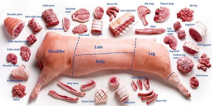 Cuts of pork - illustrated.jpg.