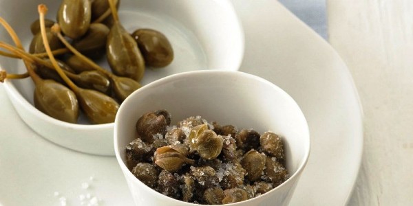 Cappero di Pantelleria (Pantelleria caper).jpg.