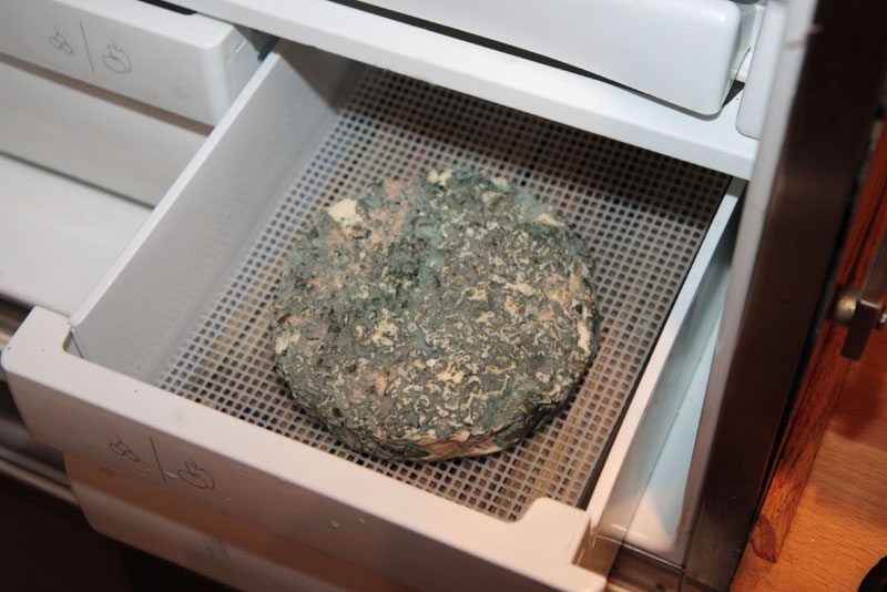 Home-made Stilton-type cheese recipe.jpg.