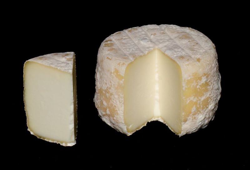 Crottin de Chavignol aka Chavignol cheese.jpg.